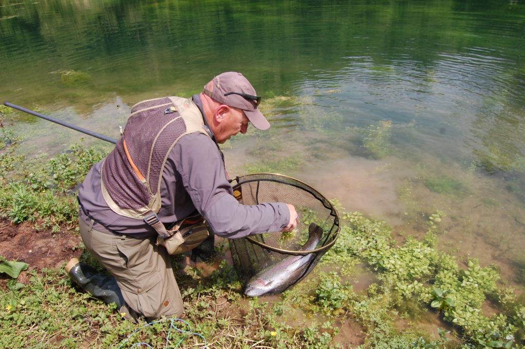 La Cascade- Fly Fishing- Lake - Catch